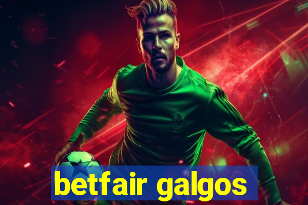 betfair galgos